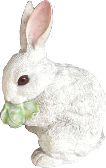   Rabbit White Eating image 0